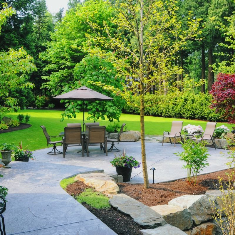 Backyard landscaping