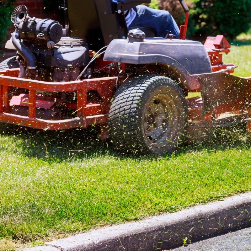 Professional mowing lawn